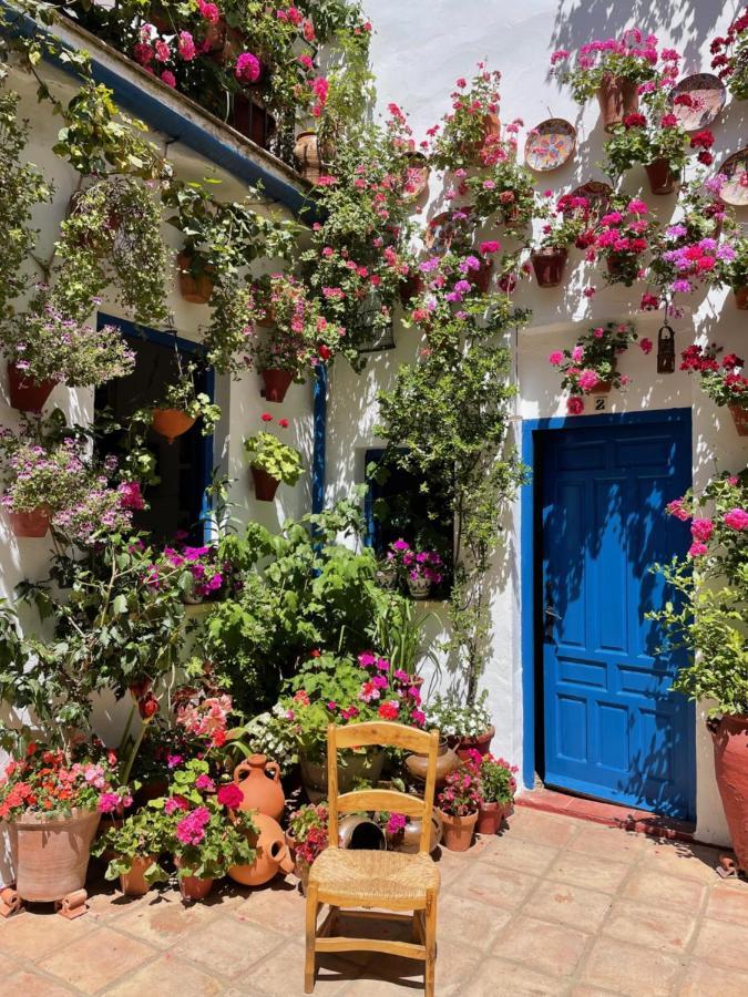 Apartamento La Estrella Cordoba Dış mekan fotoğraf