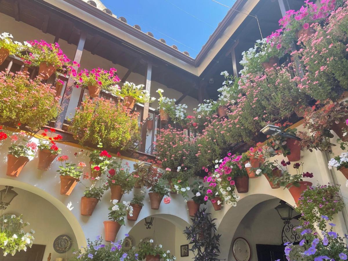 Apartamento La Estrella Cordoba Dış mekan fotoğraf